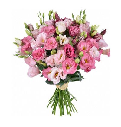 Kemer Florist 